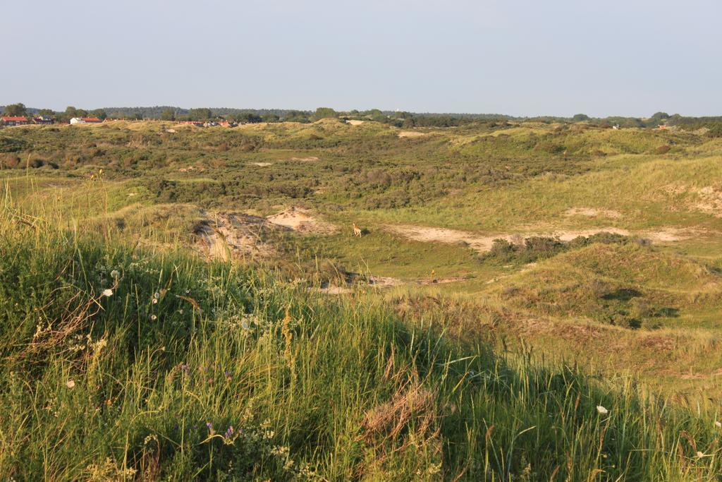 Posthuisje Zandvoort Ruang foto